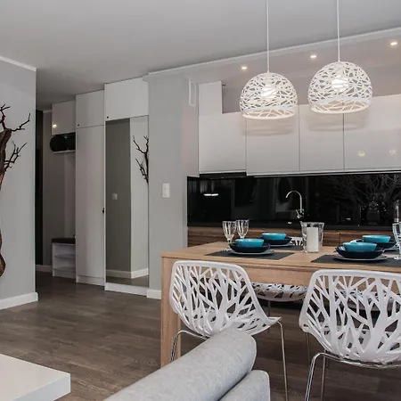 Every Sky 11 Listopada 10